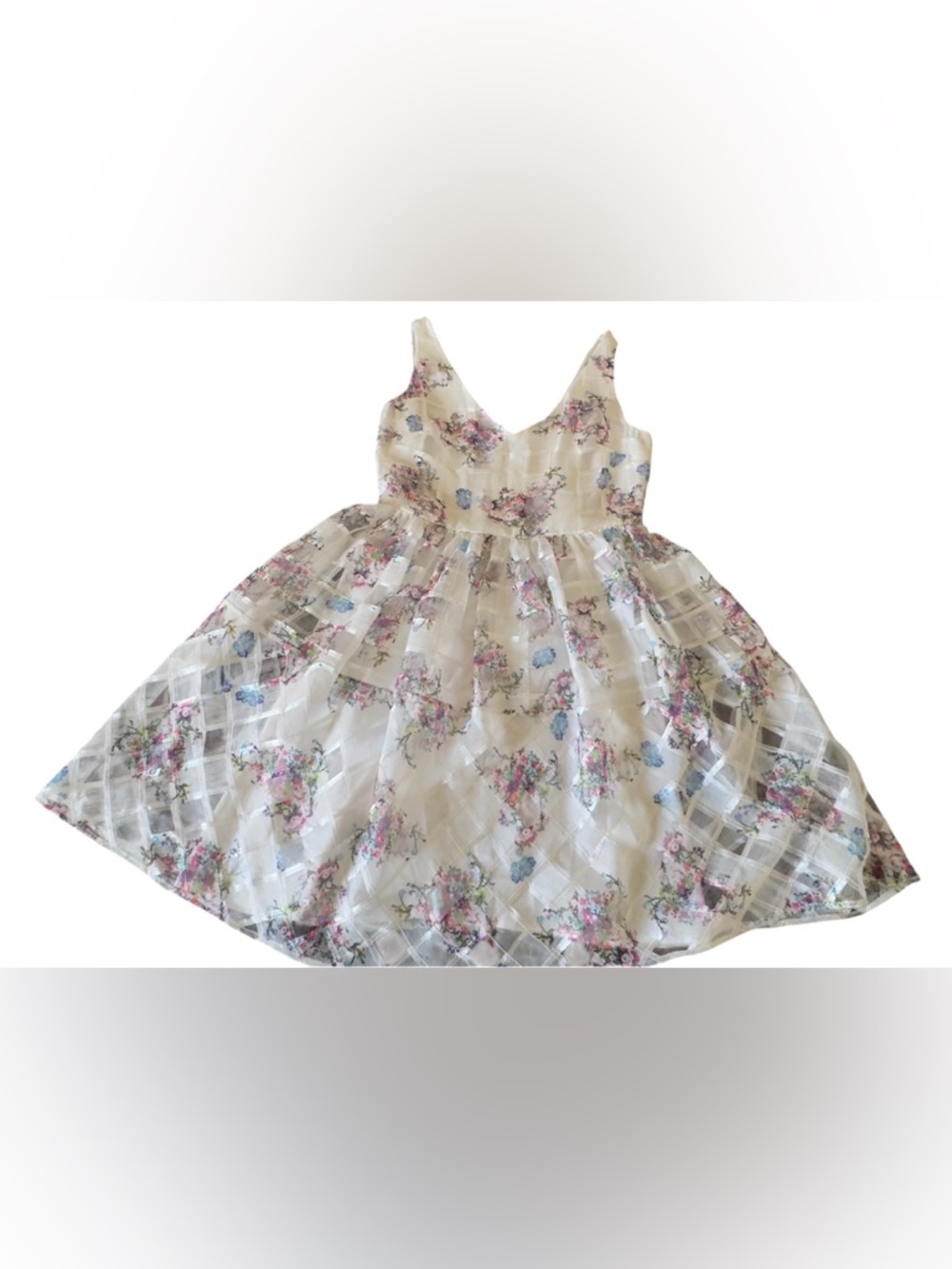 Maeve Cream Organza Fit-and-Flare Dress with Pink and Blue Floral Print